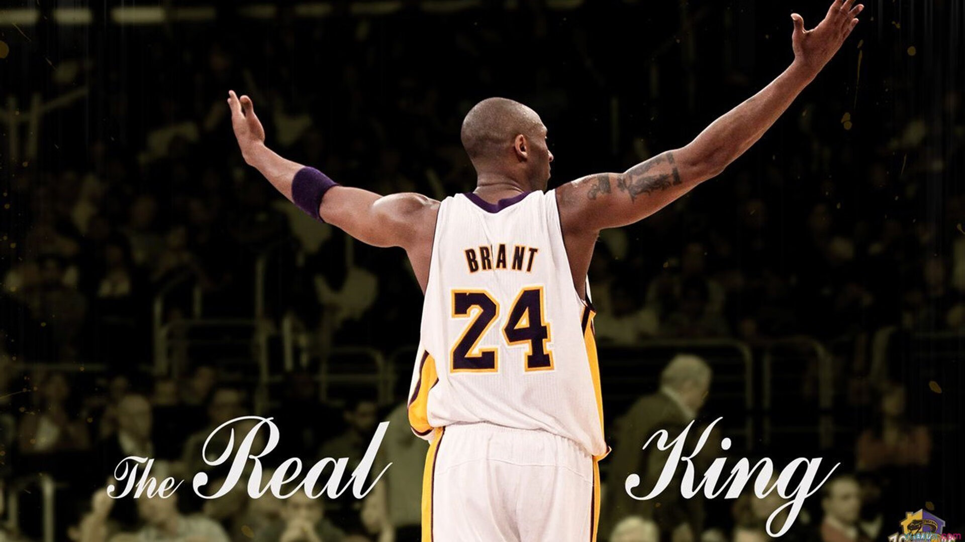 开云体育官网入口-【粉丝专区】投票、评论和打榜活动不断，粉丝活跃榜投票